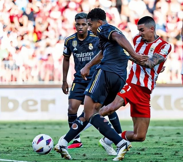 阿尔梅里亚奉献拼搏，努力取胜的简单介绍