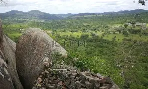 津巴布韦摘下冠军，夺得桂冠