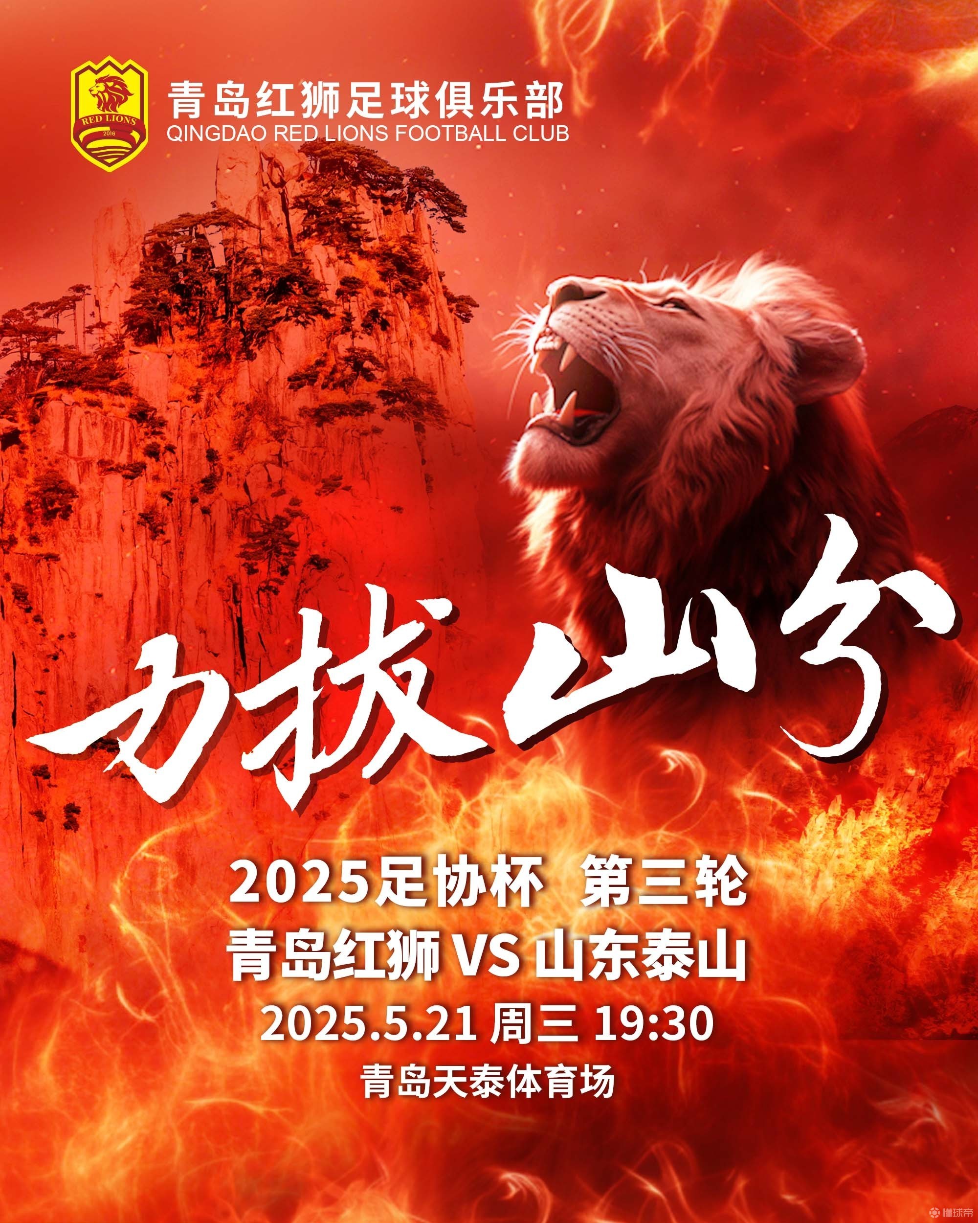 雄狮主帅战术精准，指挥球队成功击败强敌