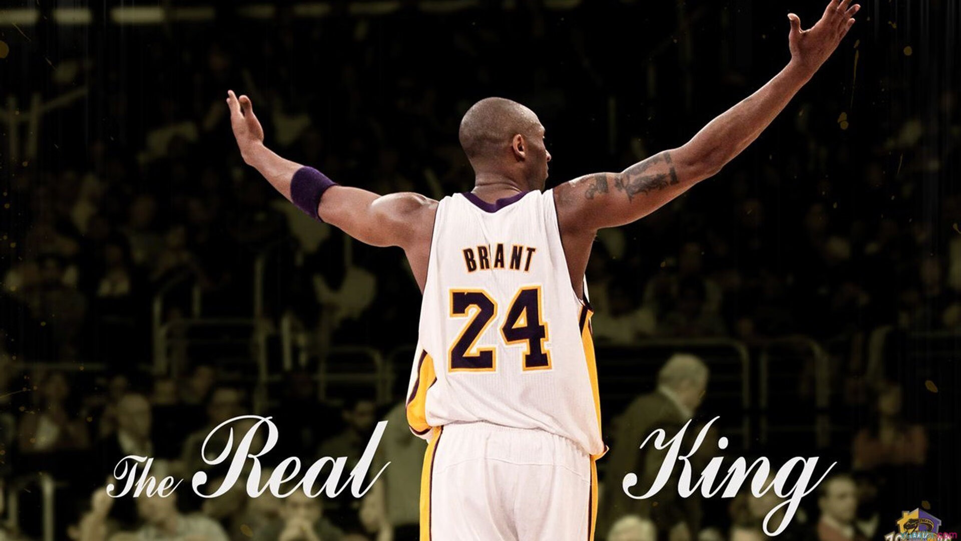 从总决赛到戴维斯杯，穆雷，连接个人巅峰与国家荣耀的钢铁桥梁